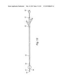 SYSTEM FOR MONITORING AND CONTROLLING ORGAN BLOOD PERFUSION diagram and image