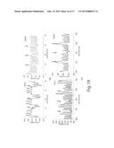 FOOD INTAKE MONITORING SYSTEM USING APNEA DETECTION IN BREATHING SIGNALS diagram and image