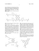 EQUILIBRIUM NON-CONSUMING FLUORESCENCE SENSOR FOR REAL TIME INTRAVASCULAR     GLUCOSE MEASUREMENT diagram and image