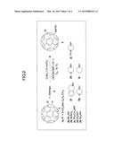 FULLERENE DERIVATIVE, METHOD OF MANUFACTURING FULLERENE DERIVATIVE AND     SOLAR CELL diagram and image