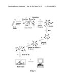 BIOMARKERS FOR MONITORING INTERVENTION THERAPIES FOR DIABETES diagram and image