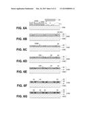 IMAGE PICKUP APPARATUS, SEMICONDUCTOR APPARATUS, AND IMAGE PICKUP UNIT diagram and image