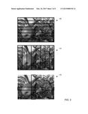 In-Stream Rolling Shutter Compensation diagram and image