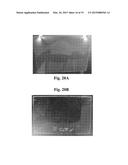 LOW BIREFRINGENT SENSOR SUBSTRATE AND METHODS THEREOF diagram and image