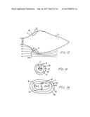 Spent Flow Discharge Apparatus for an Instream Fluid Power-Extraction     Machine diagram and image