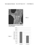 PRODUCTION OF NANOPARTICLES USING HOMOGENEOUS MILLING AND ASSOCIATED     PRODUCTS diagram and image