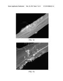 PRODUCTION OF NANOPARTICLES USING HOMOGENEOUS MILLING AND ASSOCIATED     PRODUCTS diagram and image