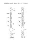 Micro-Tube Particles for Microfluidic Assays and Methods of Manufacture diagram and image