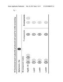 CROSS-REACTIVE STAPHYLOCOCCUS AUREUS ANTIBODY diagram and image