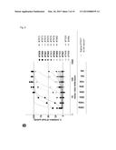 CROSS-REACTIVE STAPHYLOCOCCUS AUREUS ANTIBODY diagram and image