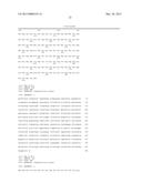 CROSS-REACTIVE STAPHYLOCOCCUS AUREUS ANTIBODY diagram and image