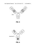 BISPECIFIC ANTIBODIES AND METHODS OF USING THE SAME diagram and image