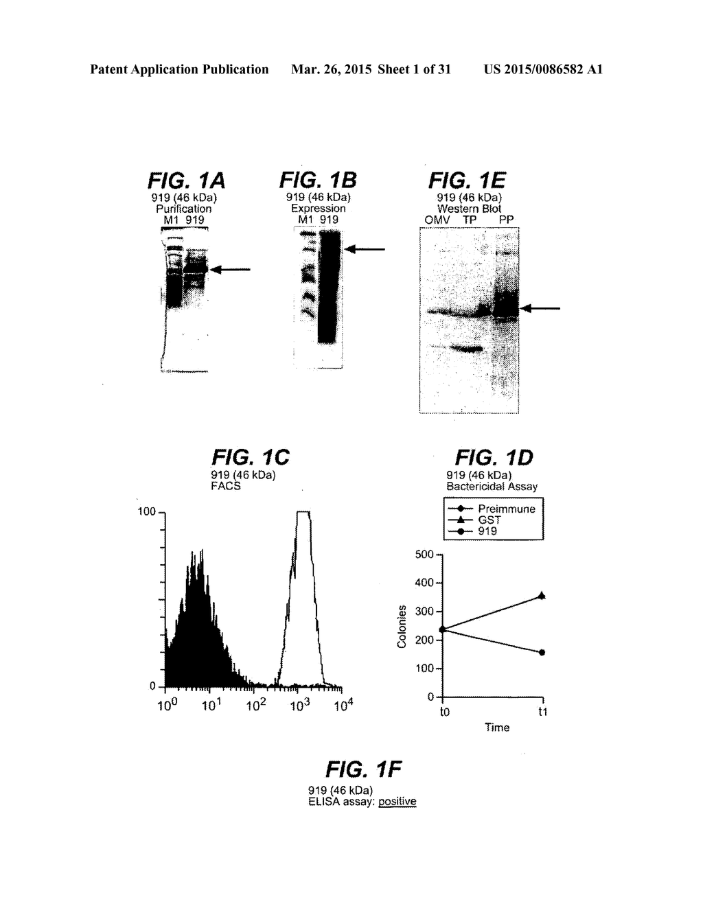 NEISSERIA MENINGITIDIS ANTIGENS AND COMPOSITIONS - diagram, schematic, and image 02