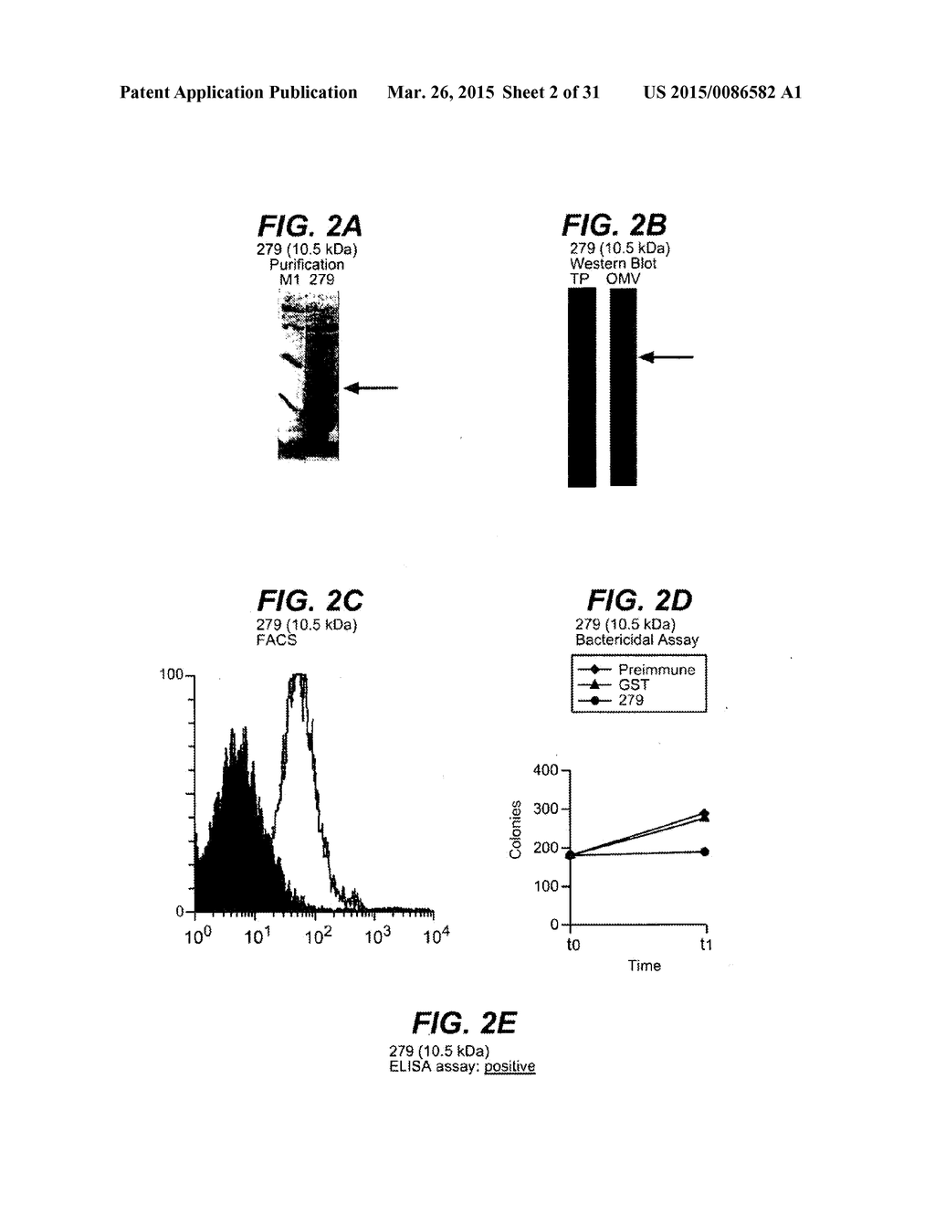 NEISSERIA MENINGITIDIS ANTIGENS AND COMPOSITIONS - diagram, schematic, and image 03