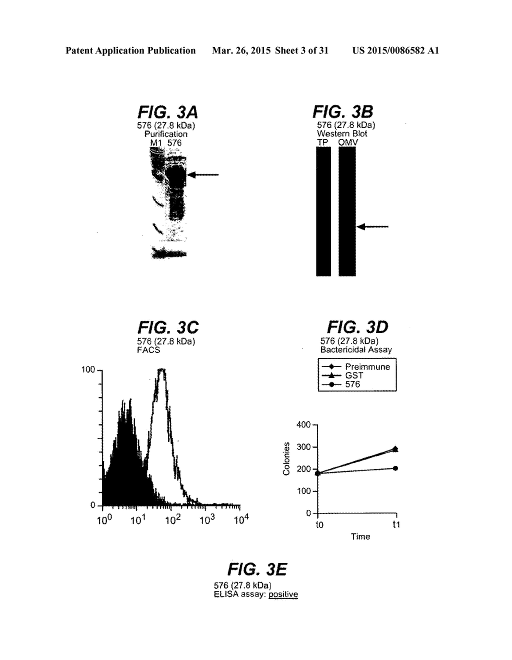 NEISSERIA MENINGITIDIS ANTIGENS AND COMPOSITIONS - diagram, schematic, and image 04