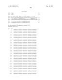 NEISSERIA MENINGITIDIS ANTIGENS AND COMPOSITIONS diagram and image