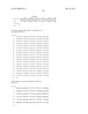 NEISSERIA MENINGITIDIS ANTIGENS AND COMPOSITIONS diagram and image