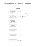 COSMETIC USES OF MOLDED  PLACENTAL COMPOSITIONS diagram and image