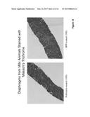 MYOSTATIN INHIBITION FOR ENHANCING MUSCLE AND/OR IMPROVING MUSCLE FUNCTION diagram and image