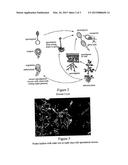 Pre-Harvest Treatment diagram and image