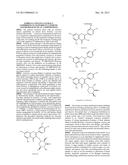 EMBELIA CONCINNA EXTRACT COMPRISING FLAVONOIDS IN COSMETIC AND     PHARMACEUTICAL COMPOSITIONS diagram and image
