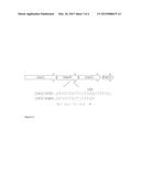 USE OF LACTIC ACID BACTERIA FOR PREPARING FERMENTED FOOD PRODUCTS WITH     INCREASED NATURAL SWEETNESS diagram and image