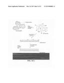 Large-grain graphene thin film current collector and secondary batteries     containing same diagram and image