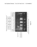 COMPOSITIONS AND METHODS OF SELECTIVE NUCLEIC ACID ISOLATION diagram and image