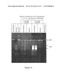 COMPOSITIONS AND METHODS OF SELECTIVE NUCLEIC ACID ISOLATION diagram and image