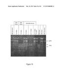 COMPOSITIONS AND METHODS OF SELECTIVE NUCLEIC ACID ISOLATION diagram and image