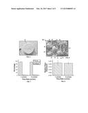 MICROFLUIDIC THREE-DIMENSIONAL OSTEOCYTE NETWORK RECONSTRUCTED WITH     MICROBEADS AS SCAFFOLD diagram and image