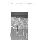 LIVE CELL VIABILITY MODIFICATION SYSTEM AND METHOD diagram and image