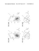 FILTER MEMBER AND A METHOD OF OBTAINING CELLS USING THE SAME diagram and image