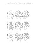 FILTER MEMBER AND A METHOD OF OBTAINING CELLS USING THE SAME diagram and image