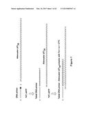 Methods and Compositions for Size-Controlled Homopolymer Tailing of     Substrate Polynucleotides by a Nucleic Acid Polymerase diagram and image