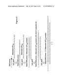 Methods and Compositions for Size-Controlled Homopolymer Tailing of     Substrate Polynucleotides by a Nucleic Acid Polymerase diagram and image