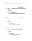 Methods and Compositions for Size-Controlled Homopolymer Tailing of     Substrate Polynucleotides by a Nucleic Acid Polymerase diagram and image