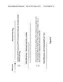 Methods and Compositions for Size-Controlled Homopolymer Tailing of     Substrate Polynucleotides by a Nucleic Acid Polymerase diagram and image