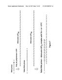 Methods and Compositions for Size-Controlled Homopolymer Tailing of     Substrate Polynucleotides by a Nucleic Acid Polymerase diagram and image