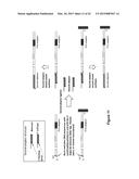 Methods and Compositions for Size-Controlled Homopolymer Tailing of     Substrate Polynucleotides by a Nucleic Acid Polymerase diagram and image