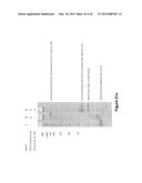 Methods and Compositions for Size-Controlled Homopolymer Tailing of     Substrate Polynucleotides by a Nucleic Acid Polymerase diagram and image