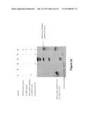 Methods and Compositions for Size-Controlled Homopolymer Tailing of     Substrate Polynucleotides by a Nucleic Acid Polymerase diagram and image