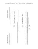 Methods and Compositions for Size-Controlled Homopolymer Tailing of     Substrate Polynucleotides by a Nucleic Acid Polymerase diagram and image