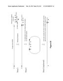 Methods and Compositions for Size-Controlled Homopolymer Tailing of     Substrate Polynucleotides by a Nucleic Acid Polymerase diagram and image