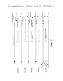 Methods and Compositions for Size-Controlled Homopolymer Tailing of     Substrate Polynucleotides by a Nucleic Acid Polymerase diagram and image