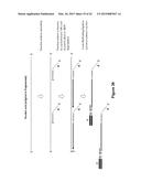 Methods and Compositions for Size-Controlled Homopolymer Tailing of     Substrate Polynucleotides by a Nucleic Acid Polymerase diagram and image