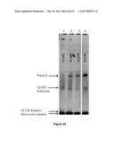 Methods and Compositions for Size-Controlled Homopolymer Tailing of     Substrate Polynucleotides by a Nucleic Acid Polymerase diagram and image