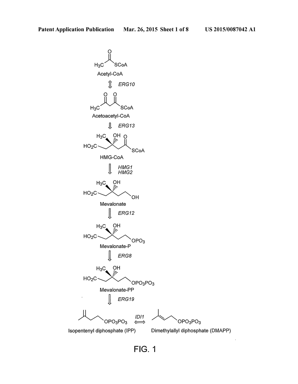 Genetically Modified Host Cells and Use of Same for Producing Isoprenoid     Compounds - diagram, schematic, and image 02