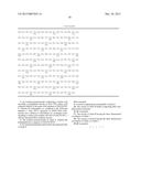 CRYSTAL STRUCTURE OF HCV POLYMERASE COMPLEXES AND METHODS OF USE diagram and image