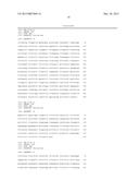 Down-Regulation Of Gene Expression Using Artificial MicroRNAs diagram and image